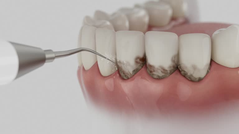 Reliable Dental contractor in Bear Creek, FL by Dentist Open Now